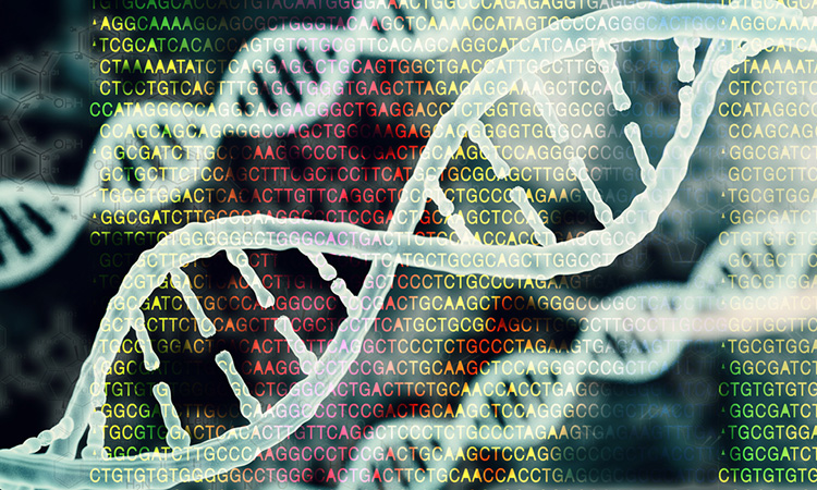DNA and bioinformatics