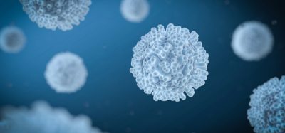 T cells
