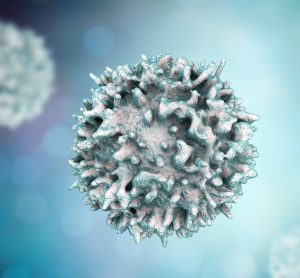 silver T lymphocytes (cells) on a light blue to white gradient background