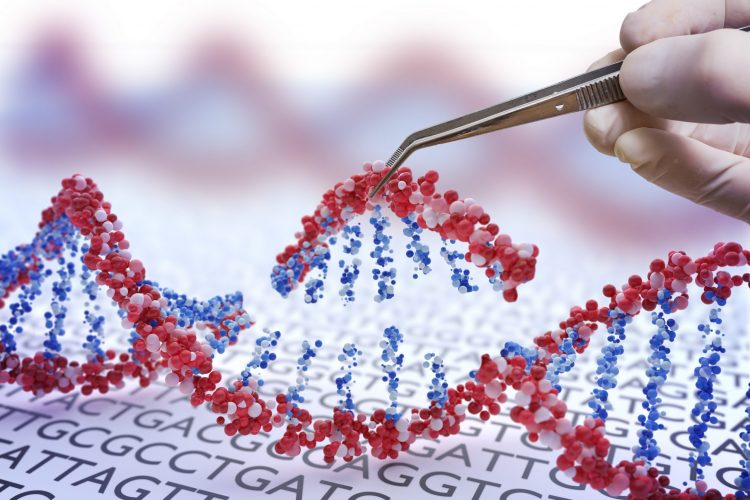 hand holding a section of a DNA strand above the remaining strand with forceps - idea of gene editing