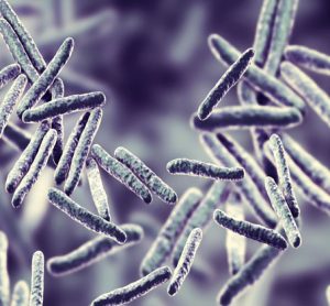 TB-gene signature