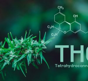 THC