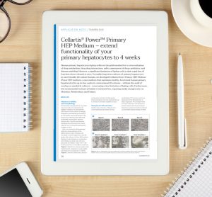 Application note: Cellartis® Power™ Primary HEP Medium – extend functionality of your primary hepatocytes to 4 weeks