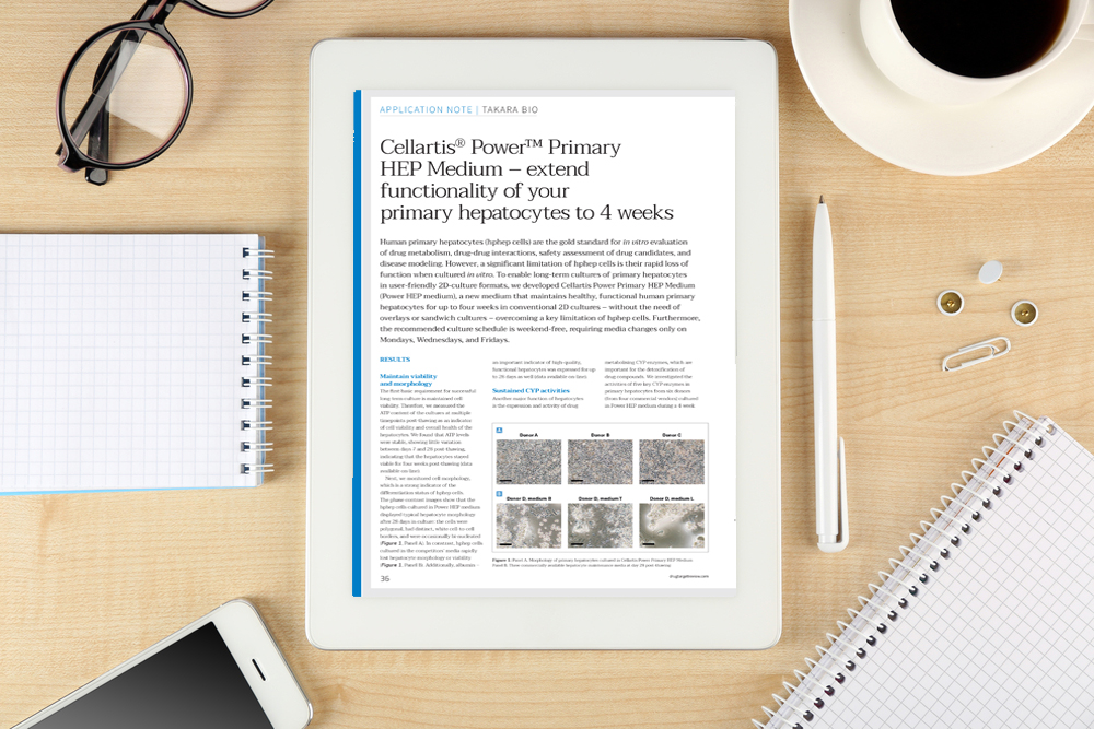Application note: Cellartis® Power™ Primary HEP Medium – extend functionality of your primary hepatocytes to 4 weeks