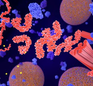 Tau protein Alzheimer's