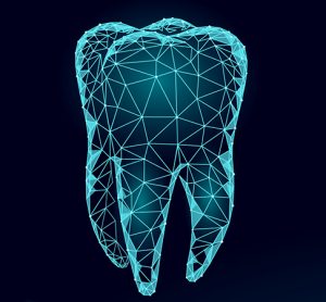Human teeth
