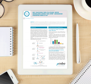 The-way-to-success-for-GPCR-signaling-studies-–-5-expert-tips-to-boost-ERK-assay-performance
