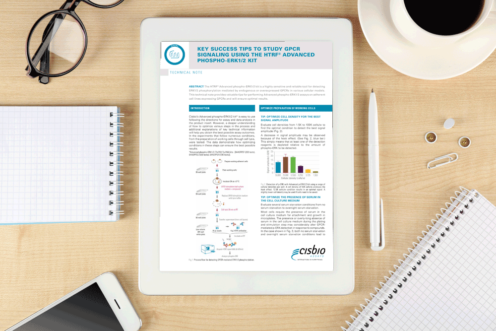 The-way-to-success-for-GPCR-signaling-studies-–-5-expert-tips-to-boost-ERK-assay-performance
