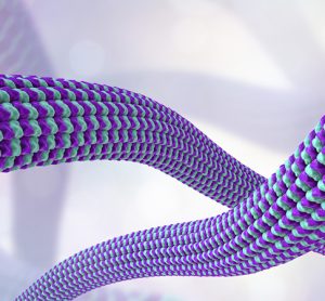 Tubulin protein binding sites discovered through fragment screening