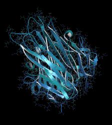 Three-dimensional rendering of Tumor necrosis factor alpha (TNF) cytokine protein molecule