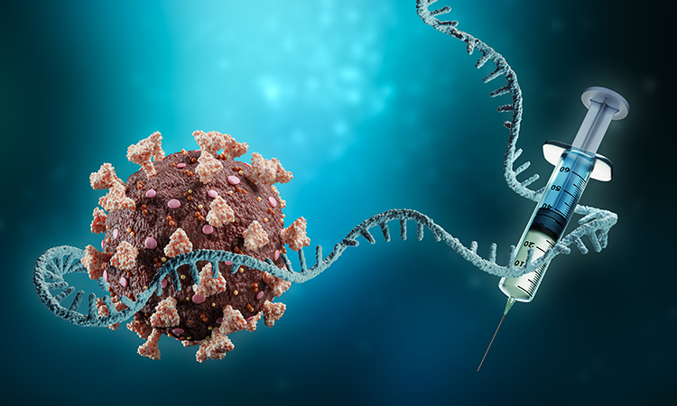 mRNA vaccine