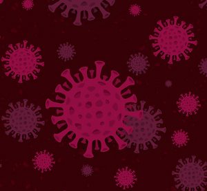 Virus