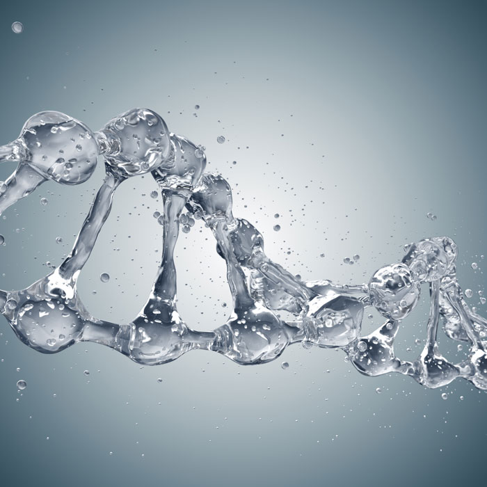 water in dna