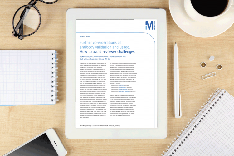 Whitepaper--Further-considerations-of-antibody-validation-and-usage---how-to-avoid-reviewer-challenges