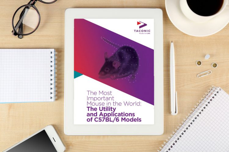 Whitepaper: The most important mouse in the world: the utility and applications of C57BL/6 models