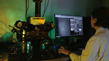 Researcher using lightsheet microscopy