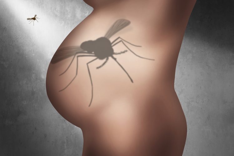 Cartoon profile of a pregnant woman's torso with a shadow of a mosquito over the bump - idea of Zika threat to foetus