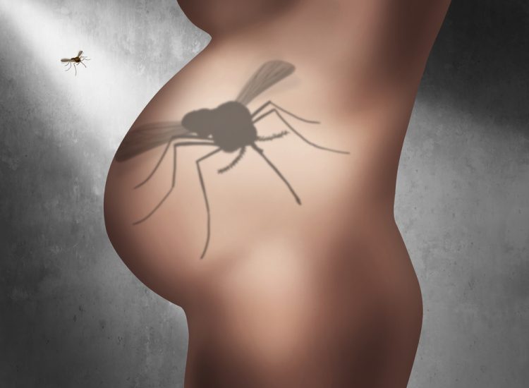 Cartoon profile of a pregnant woman's torso with a shadow of a mosquito over the bump - idea of Zika threat to foetus