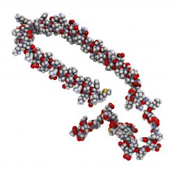 Alpha Synuclein molecule