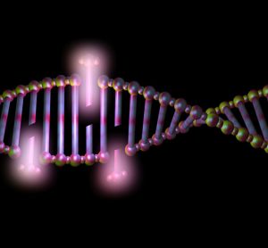 alternative splicing