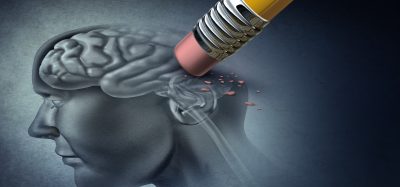 rubber erasing image of the human brain
