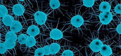 antibiotic resistance