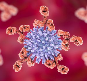 red antibodies attacking blue HIV