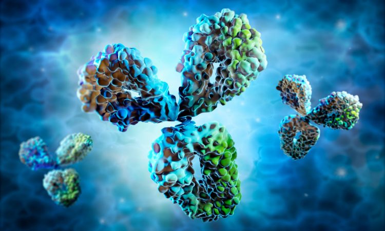 antibodies on a blue background