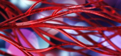 arteries