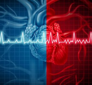 Collaborative team first to identify the perinexus in the human heart
