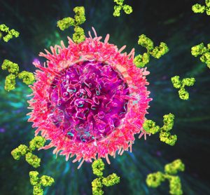 3D illustration of B Cell