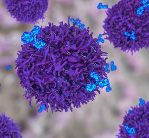 B-cell and antibodies, 3D illustration. Principles of immunity