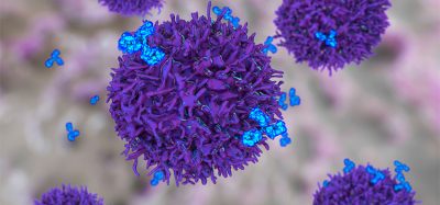 B-cell and antibodies, 3D illustration. Principles of immunity