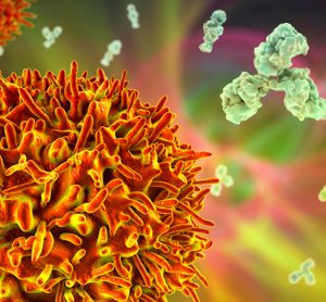 B-cell and antibodies, 3D illustration. Principles of immunity