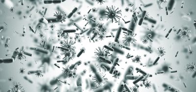 bacteria