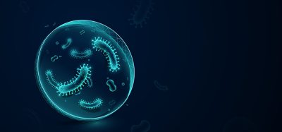 bacteria