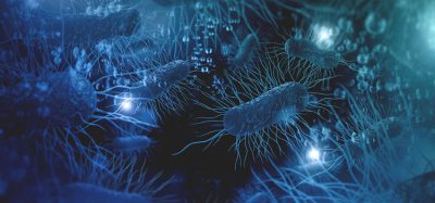 bacteria