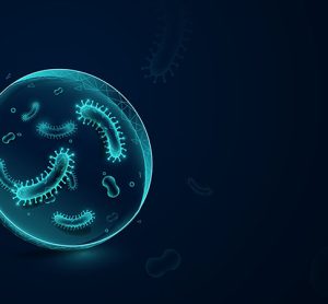 Bacteria