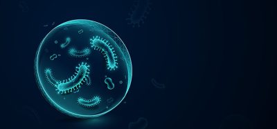 Bacteria
