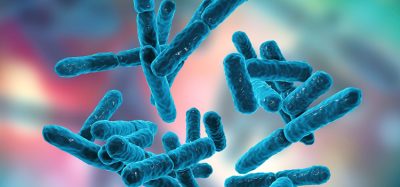bacteria