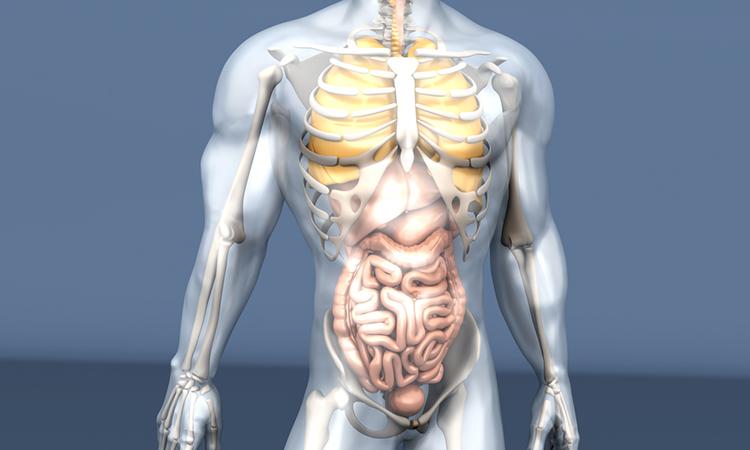 biliary tract cancer