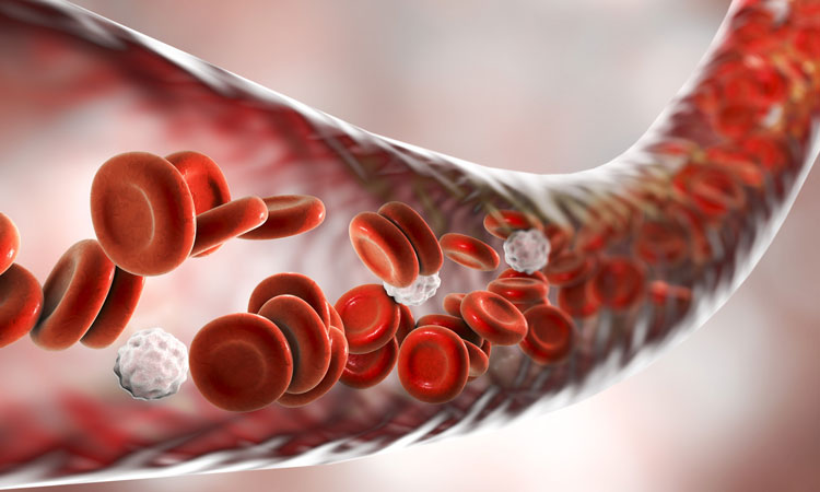 imaging technique for labelling blood cells