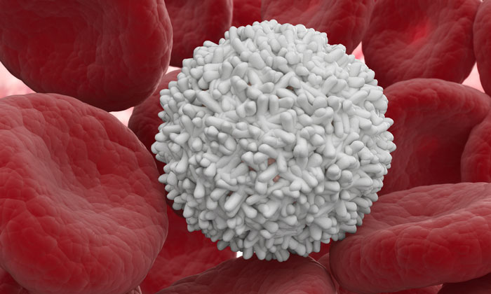 blood stem cells-immune