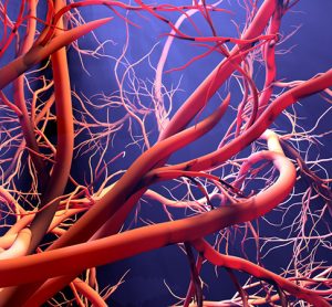 3D image of blood vessel