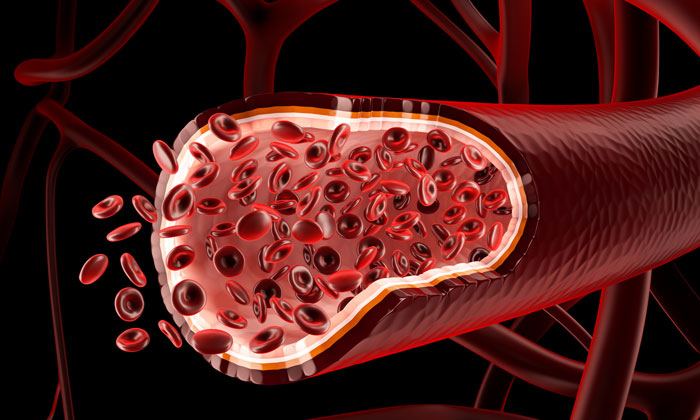 blood-stem-cells-switch