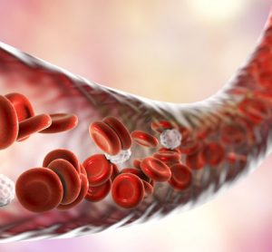 blood-vessels