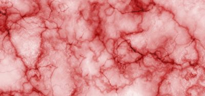 blood vessels