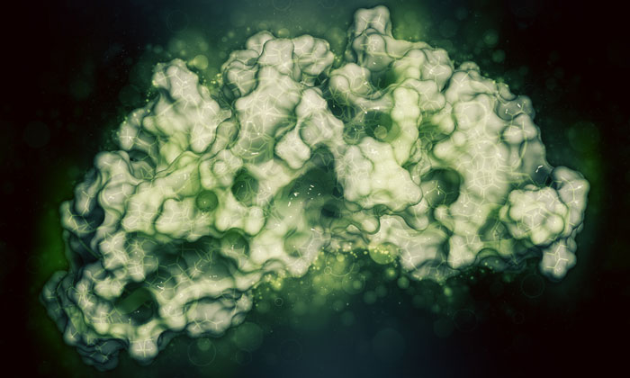 bone marrow tumour progression