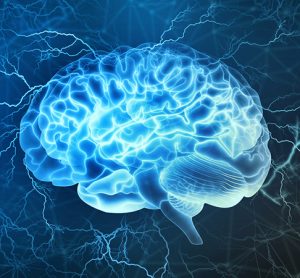 Human brain digital illustration.