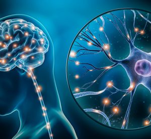 3D rendering illustration of human brain stimulation or activity with neuron close-up.
